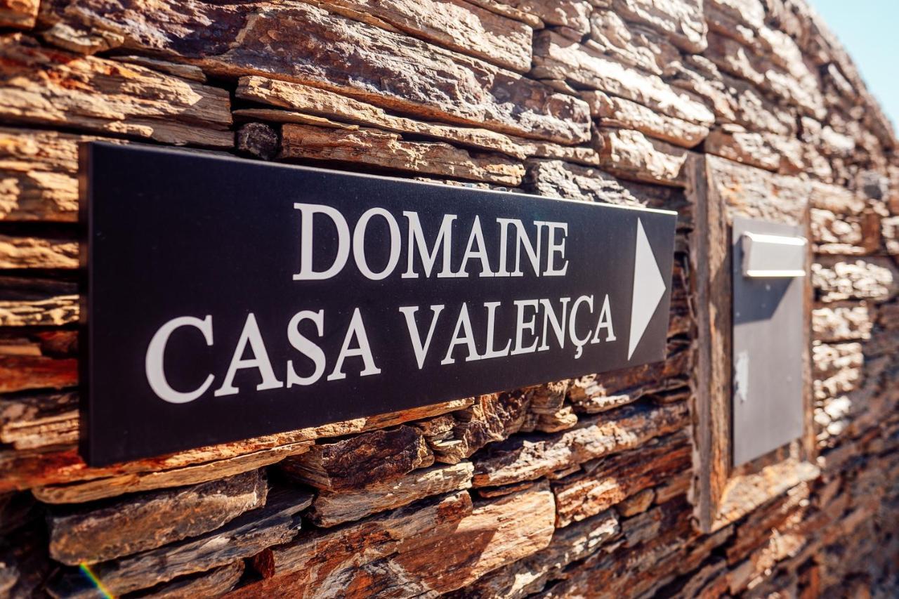 ヴァレンサ・ド・ドウロ Casa Com Piscina No Coracao Do Douro - Domaine Casa Valenca,ヴィラ エクステリア 写真