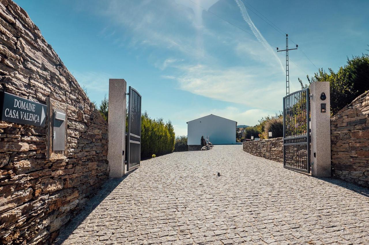 ヴァレンサ・ド・ドウロ Casa Com Piscina No Coracao Do Douro - Domaine Casa Valenca,ヴィラ エクステリア 写真