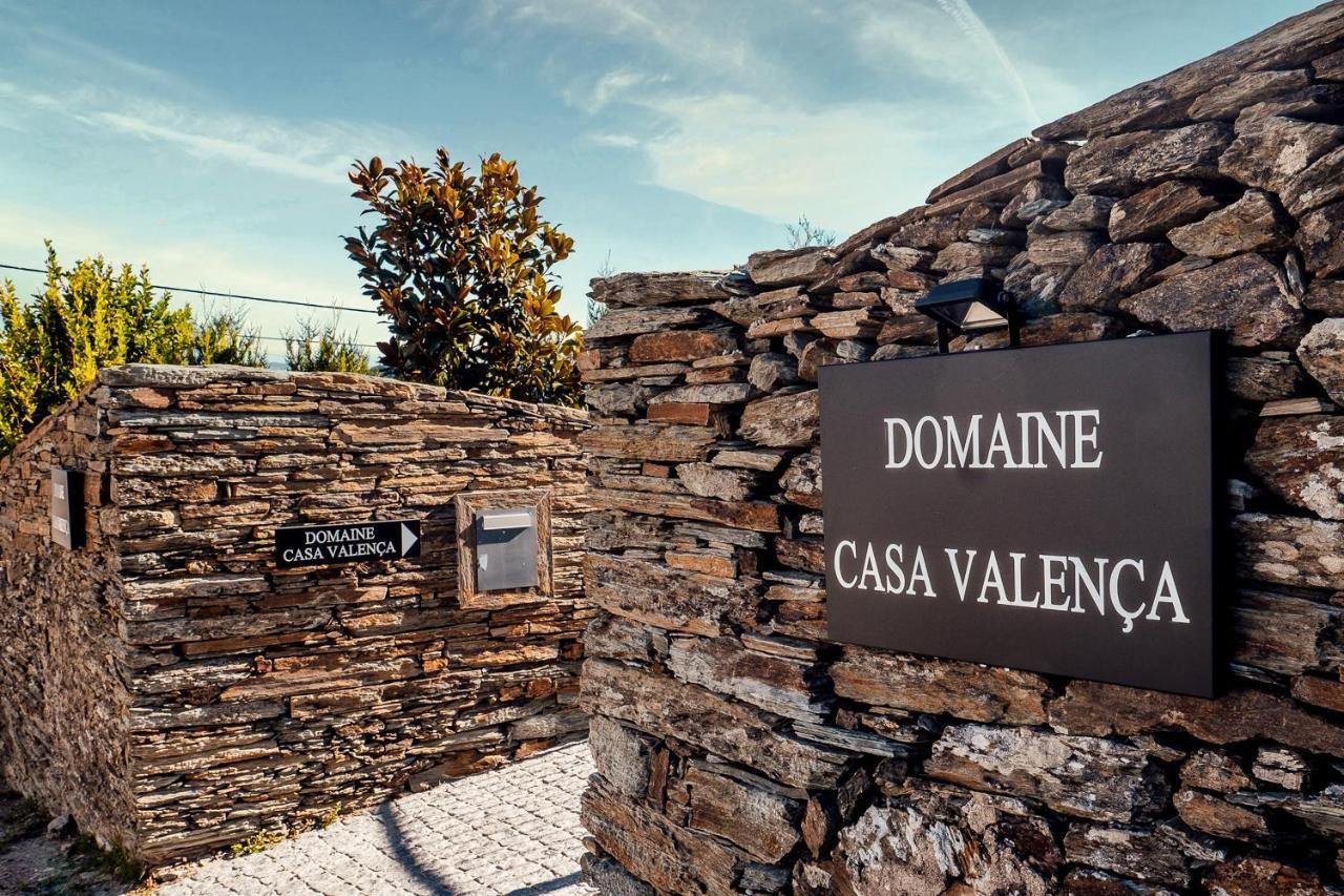 ヴァレンサ・ド・ドウロ Casa Com Piscina No Coracao Do Douro - Domaine Casa Valenca,ヴィラ エクステリア 写真