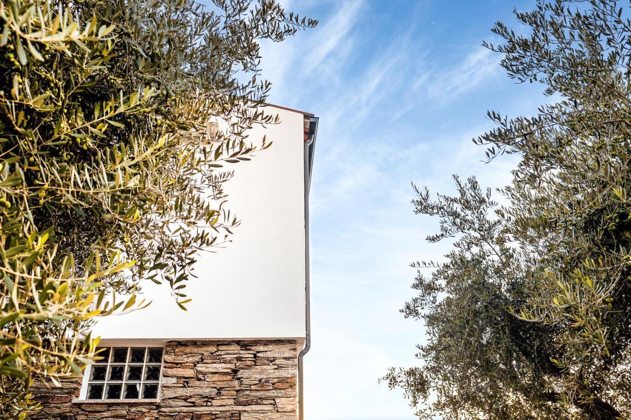 ヴァレンサ・ド・ドウロ Casa Com Piscina No Coracao Do Douro - Domaine Casa Valenca,ヴィラ エクステリア 写真
