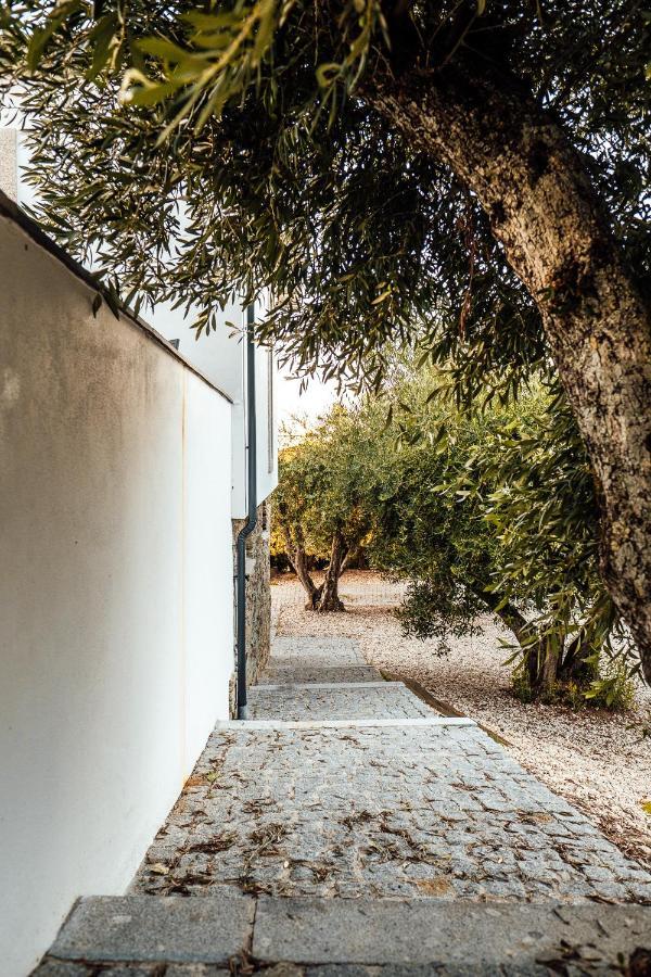 ヴァレンサ・ド・ドウロ Casa Com Piscina No Coracao Do Douro - Domaine Casa Valenca,ヴィラ エクステリア 写真