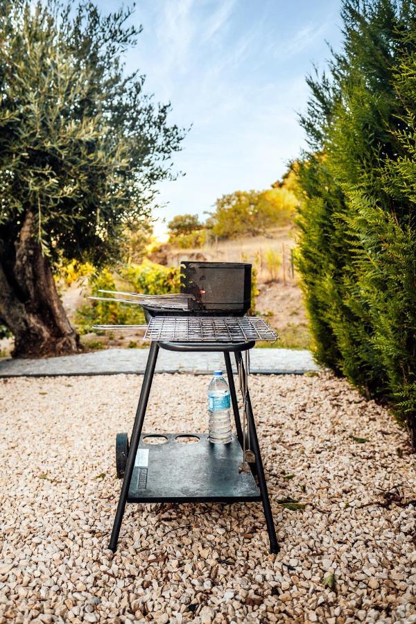 ヴァレンサ・ド・ドウロ Casa Com Piscina No Coracao Do Douro - Domaine Casa Valenca,ヴィラ エクステリア 写真